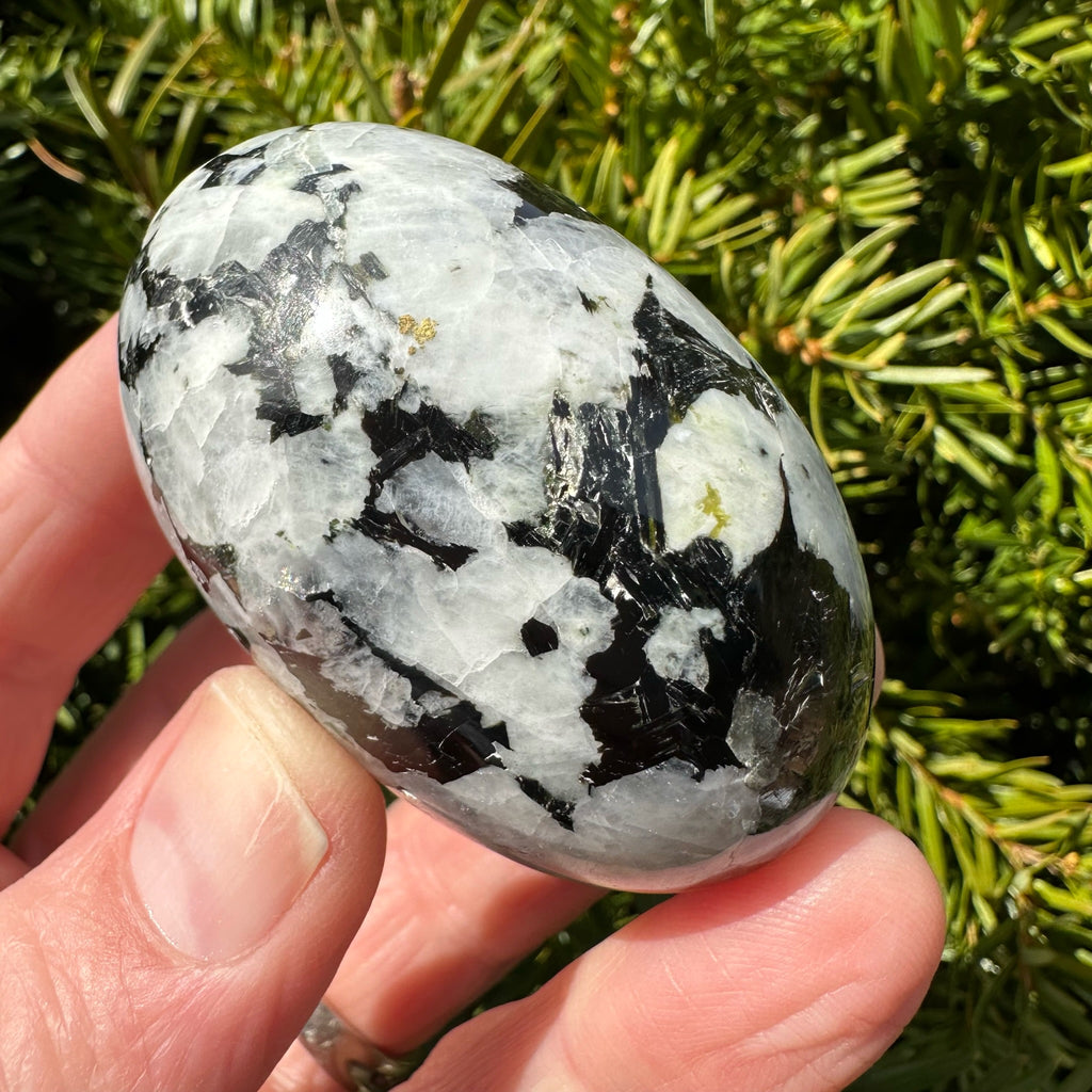Rainbow Moonstone Shegg-va