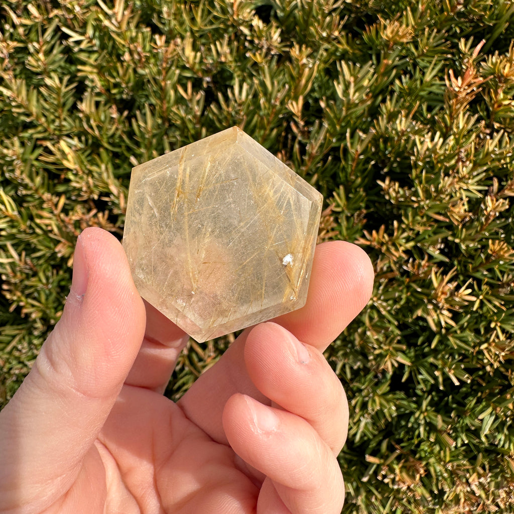 Gold Rutile Quartz Hexagon