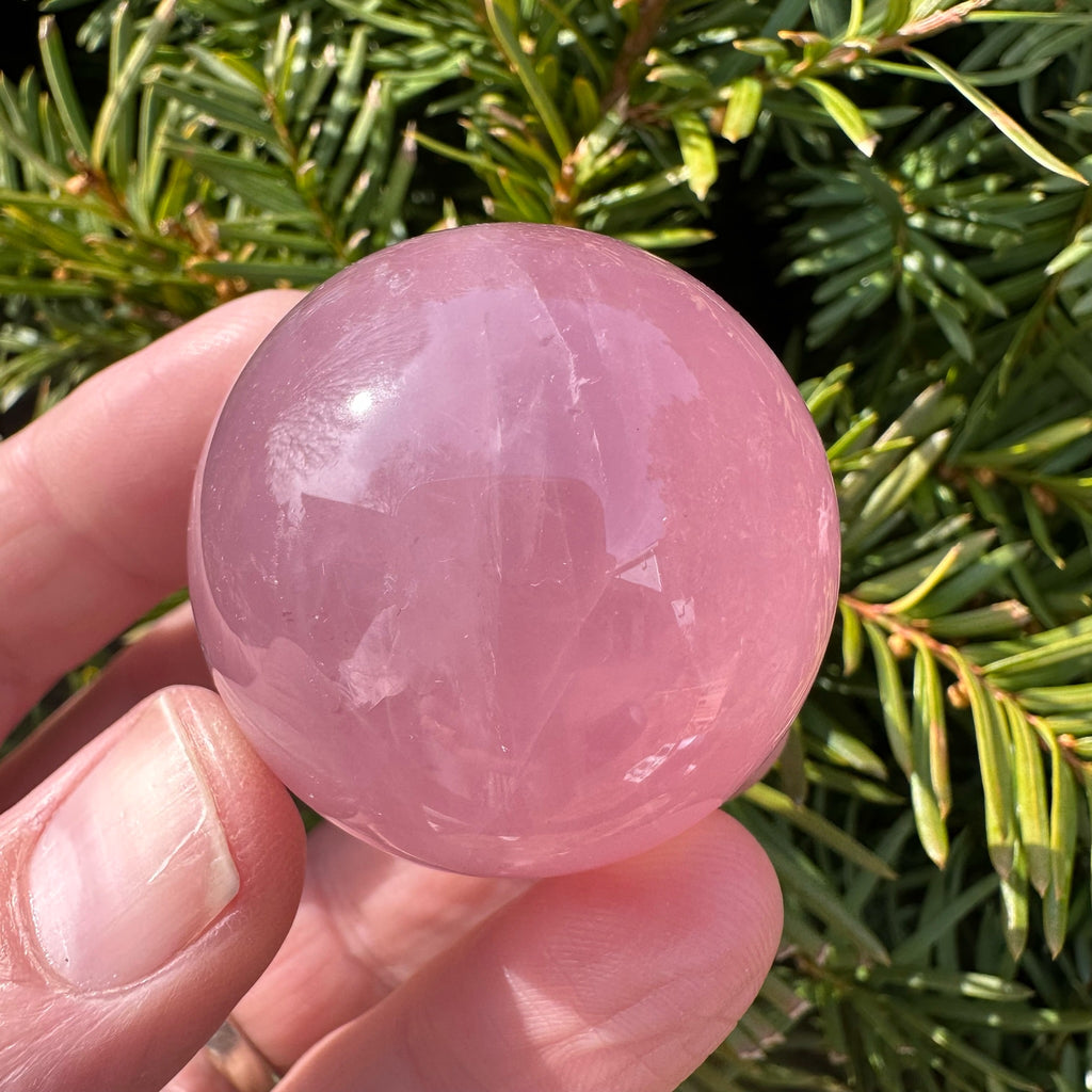 Rose Quartz Star Sphere