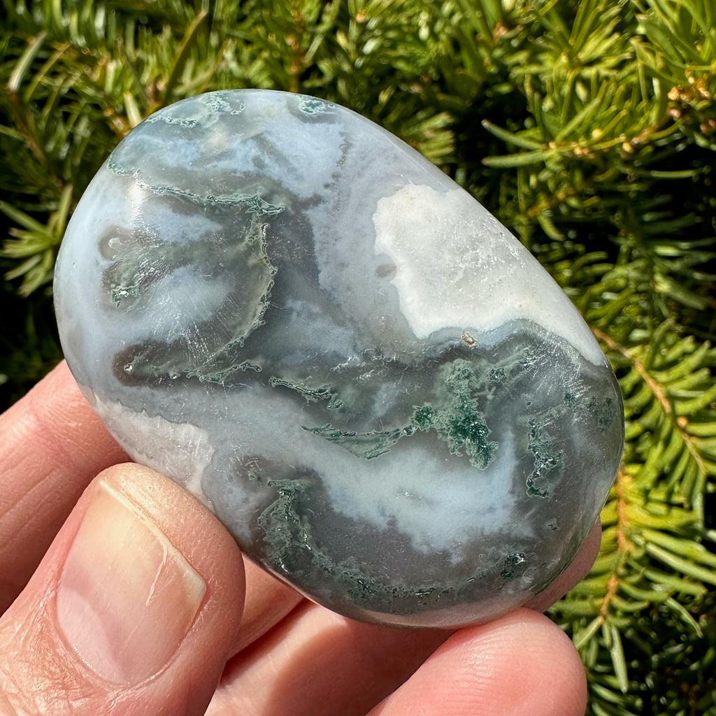 Moss Agate Palm Stone