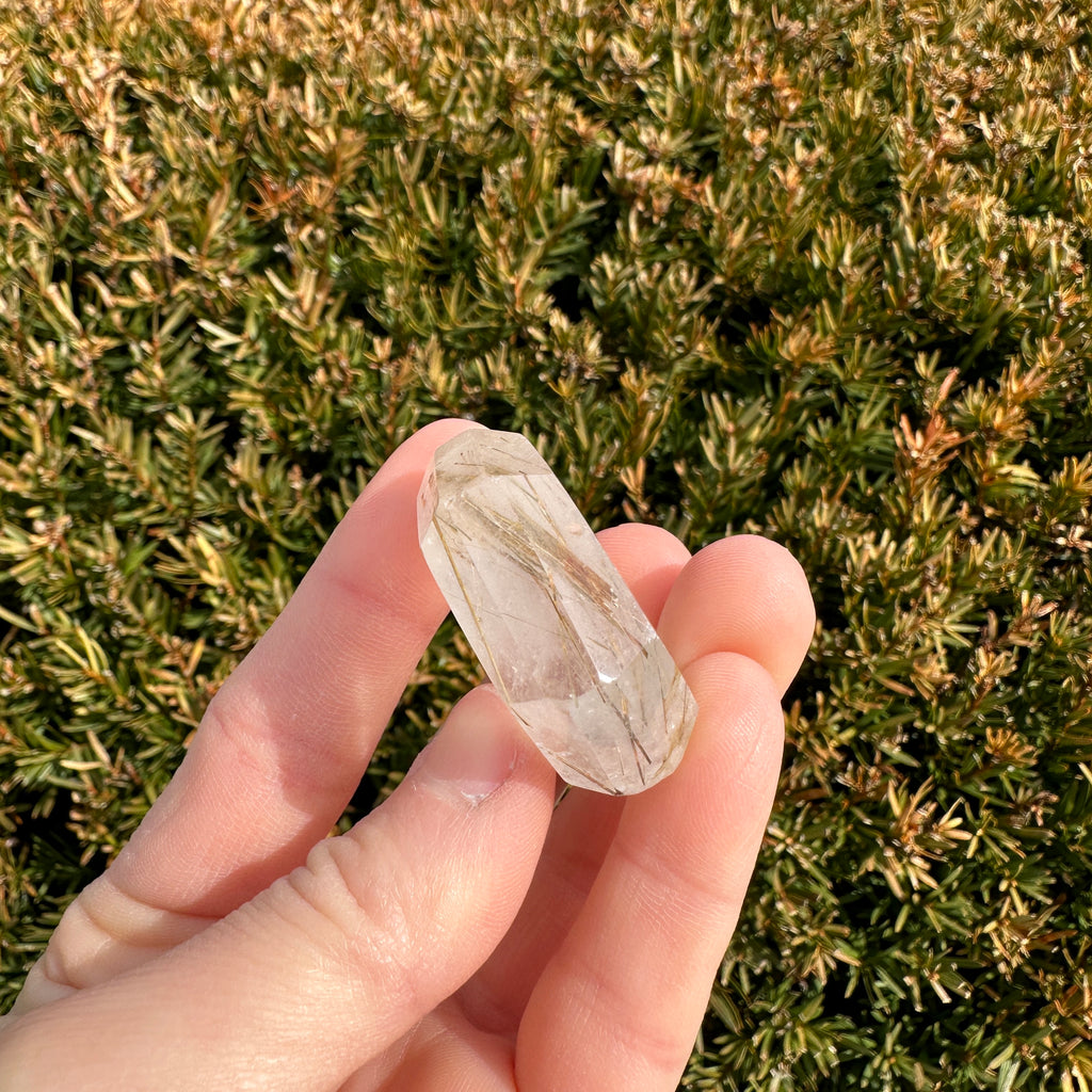 Gold Rutile Quartz Hexagon