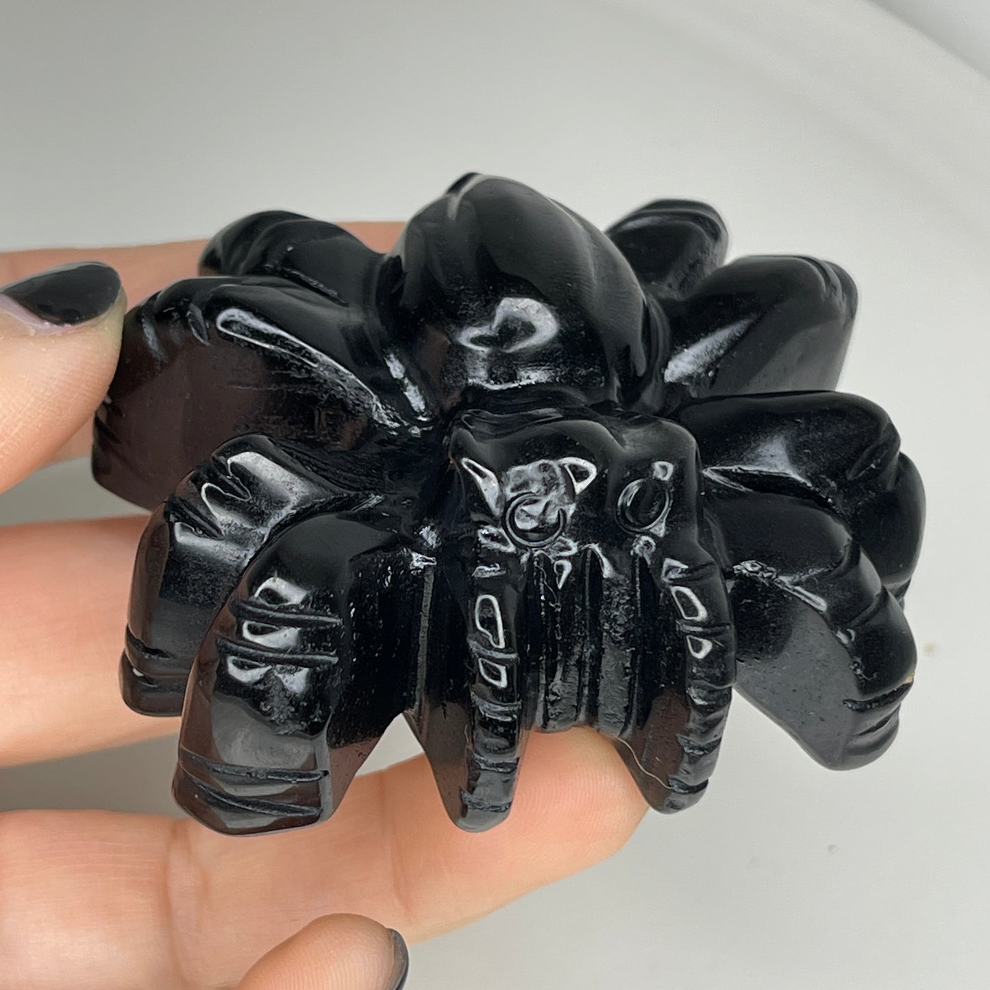 Black Obsidian Tarantula