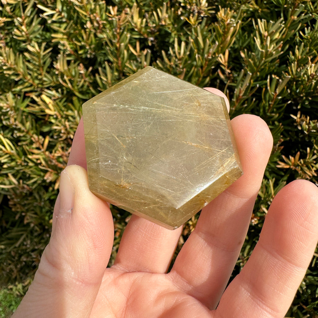 Gold Rutile Quartz Hexagon