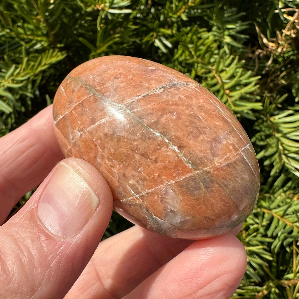 Peach Moonstone Shegg-va