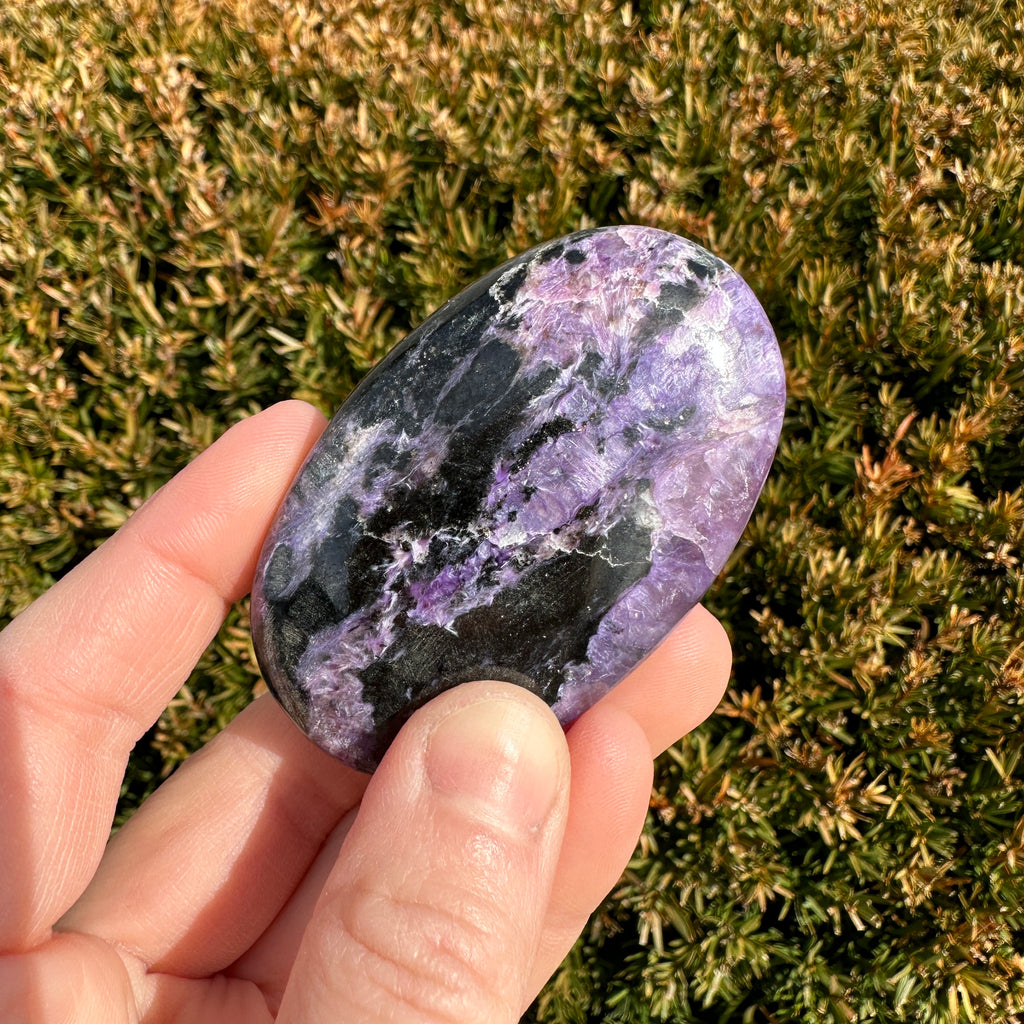 Charoite Palm
