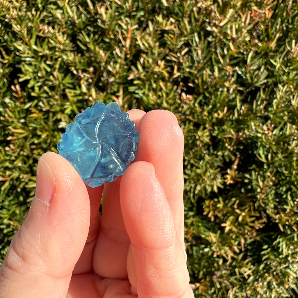 Aquamarine Rose