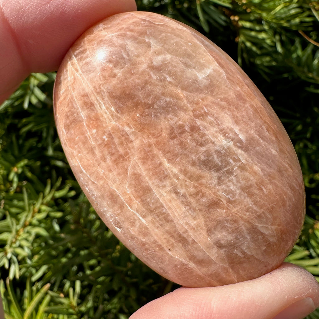Peach Moonstone Palm Stone
