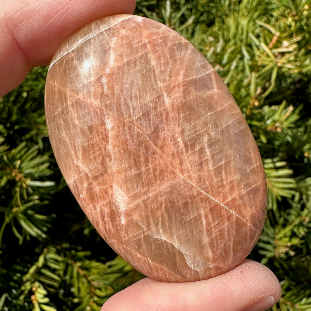 Peach Moonstone Palm Stone