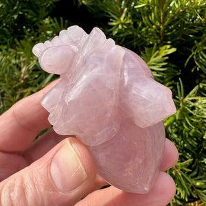 Rose Quartz Anatomical Heart
