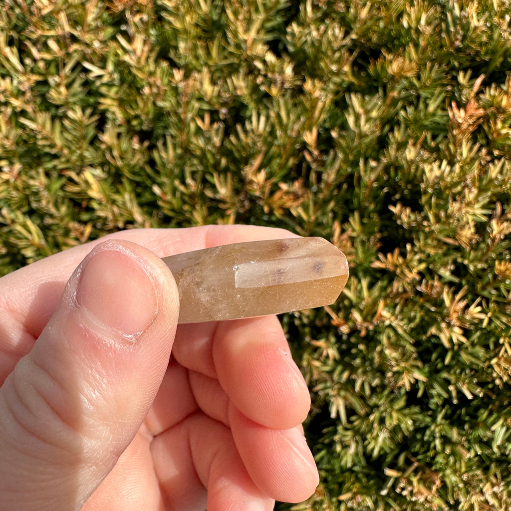 Gold Rutile Quartz Hexagon