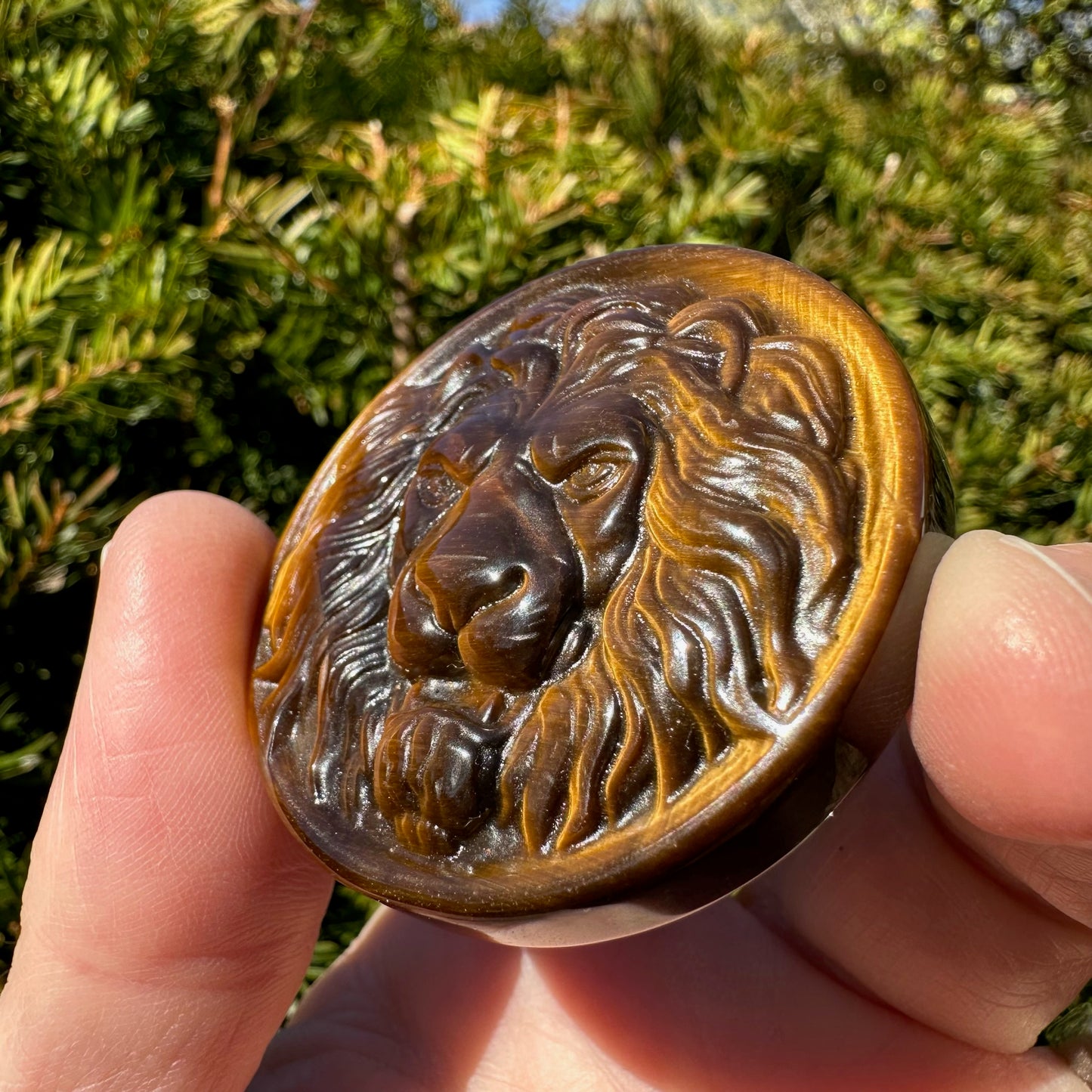 Tiger's Eye Lion Medallion