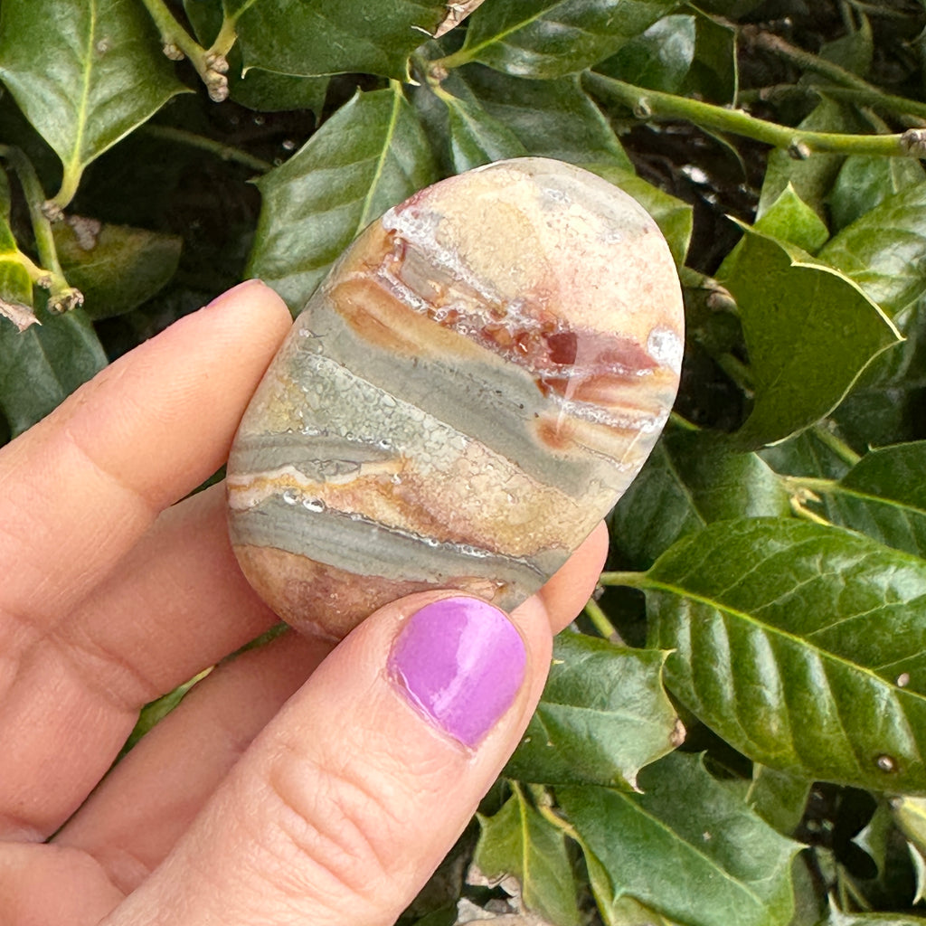 Ibis Jasper Palm Stone