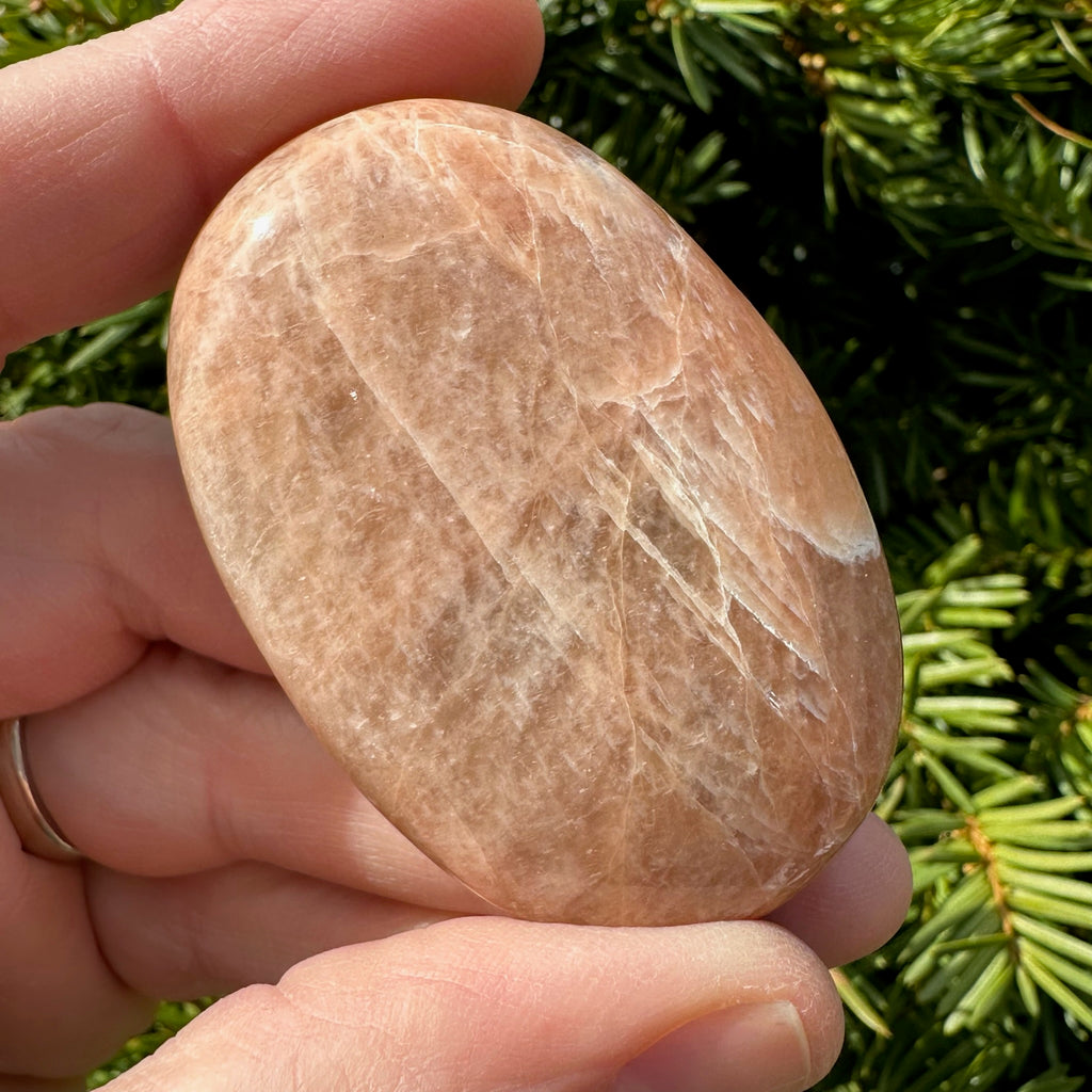Peach Moonstone Palm Stone