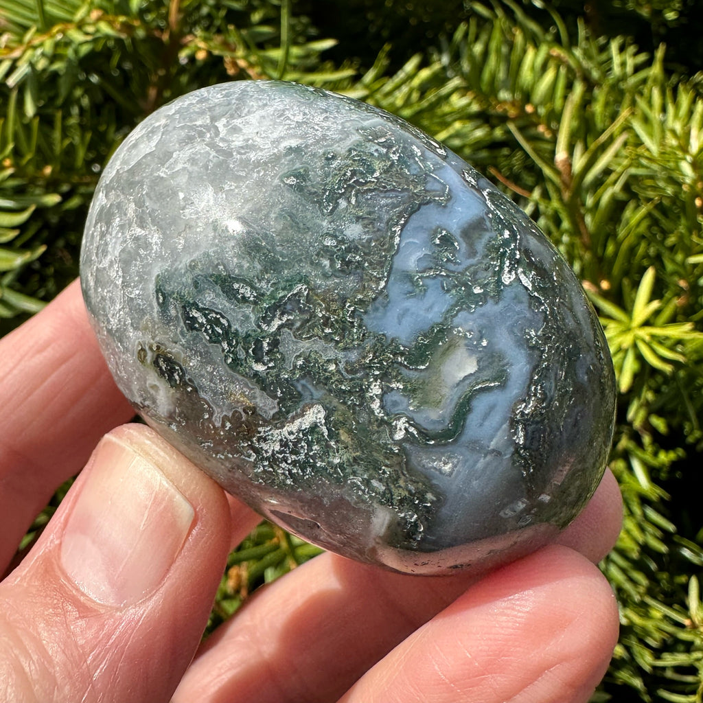 Moss Agate Shegg-va