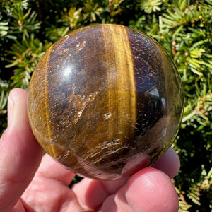 Tiger's Eye Sphere
