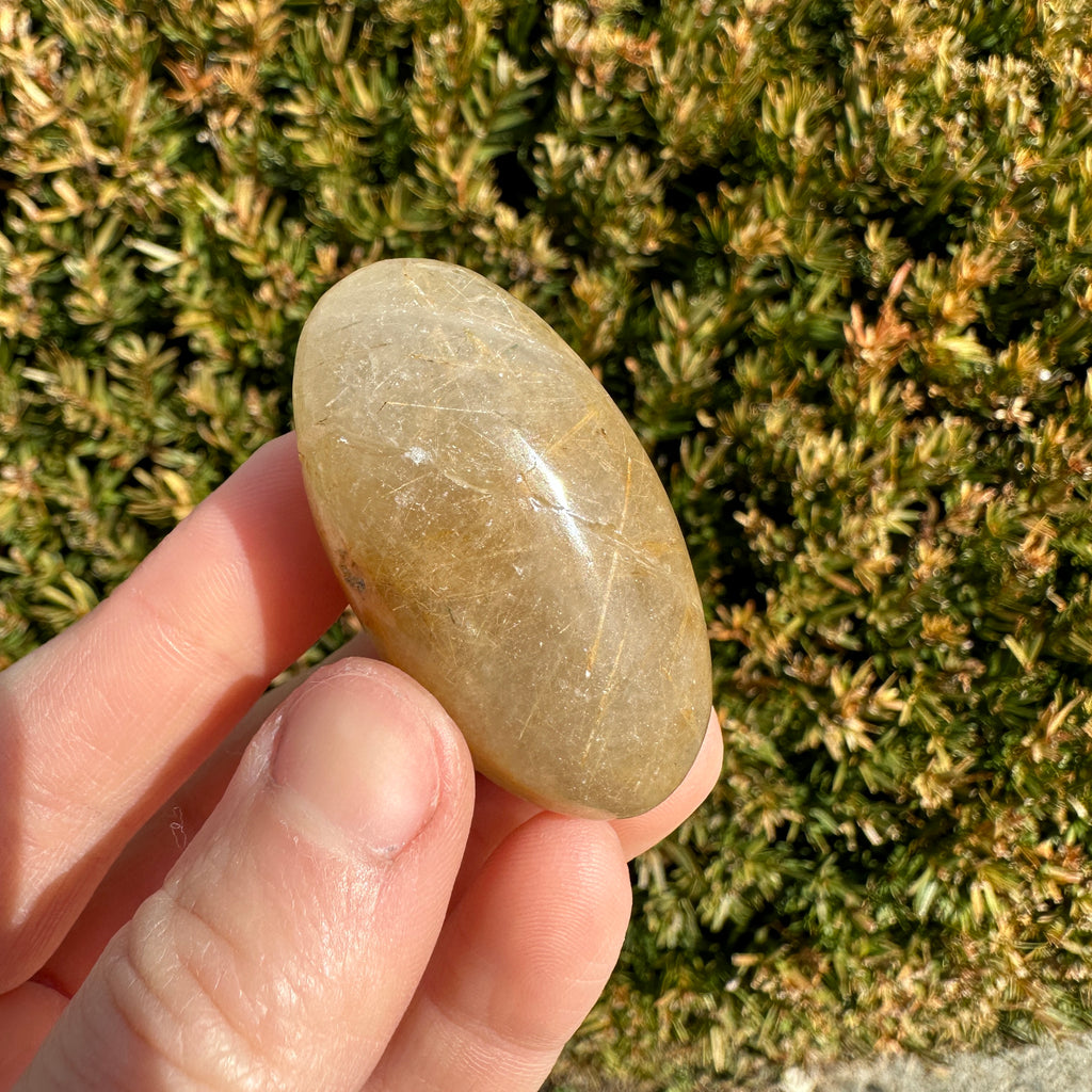 Gold Rutile Quartz Shiva