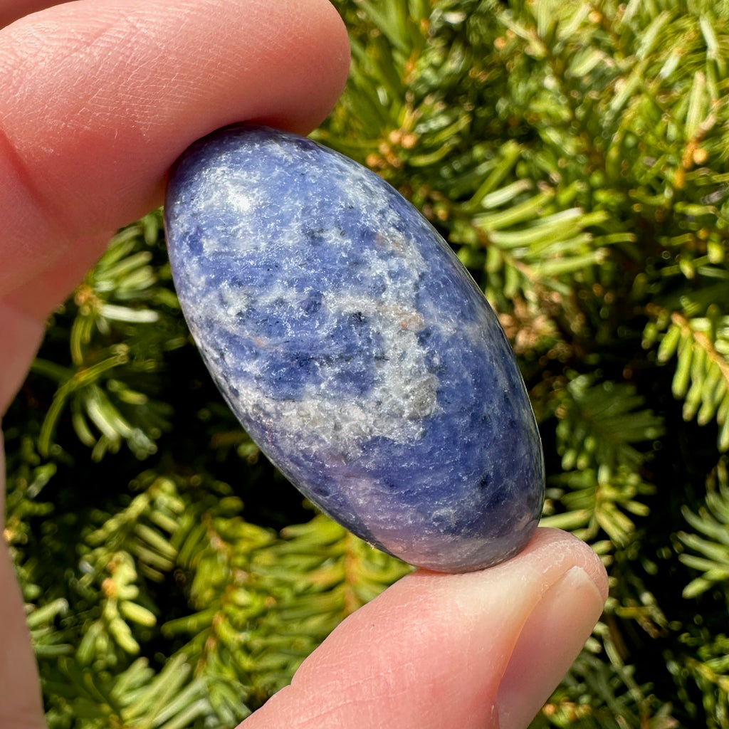 Sodalite Shiva