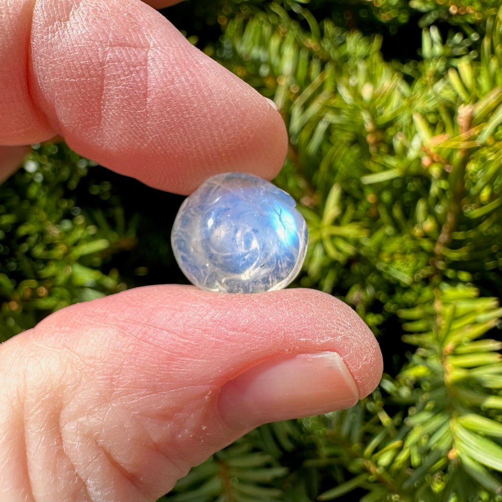 Rainbow Moonstone Rose