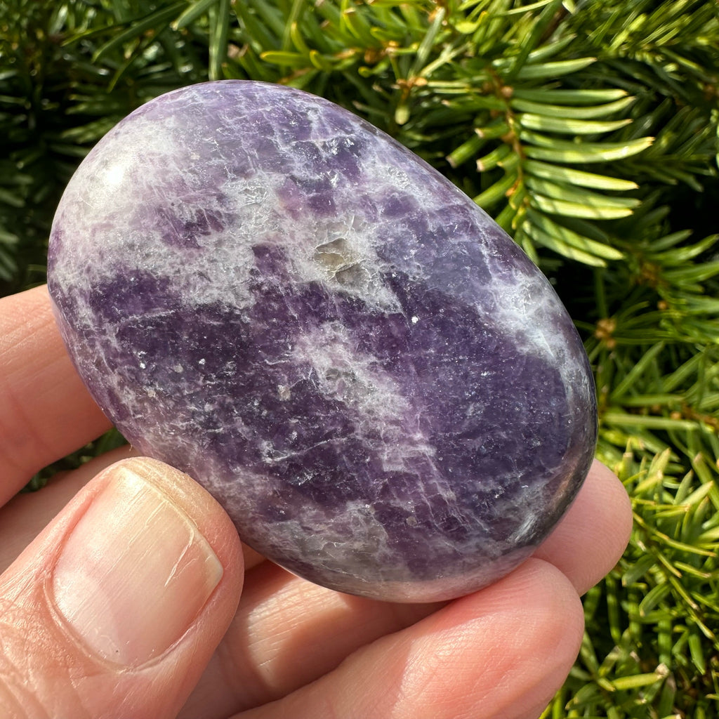 Lepidolite Palm Stone
