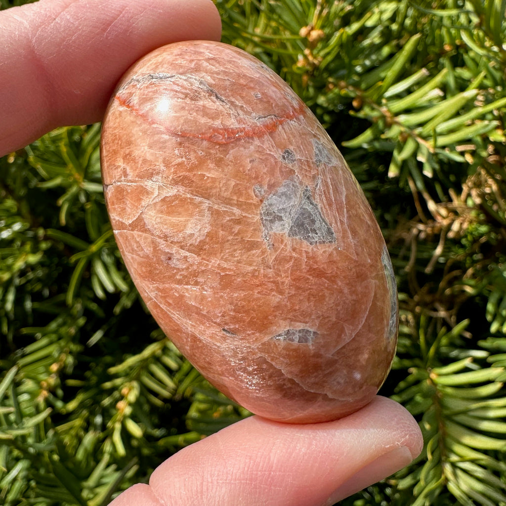 Peach Moonstone Shegg-va