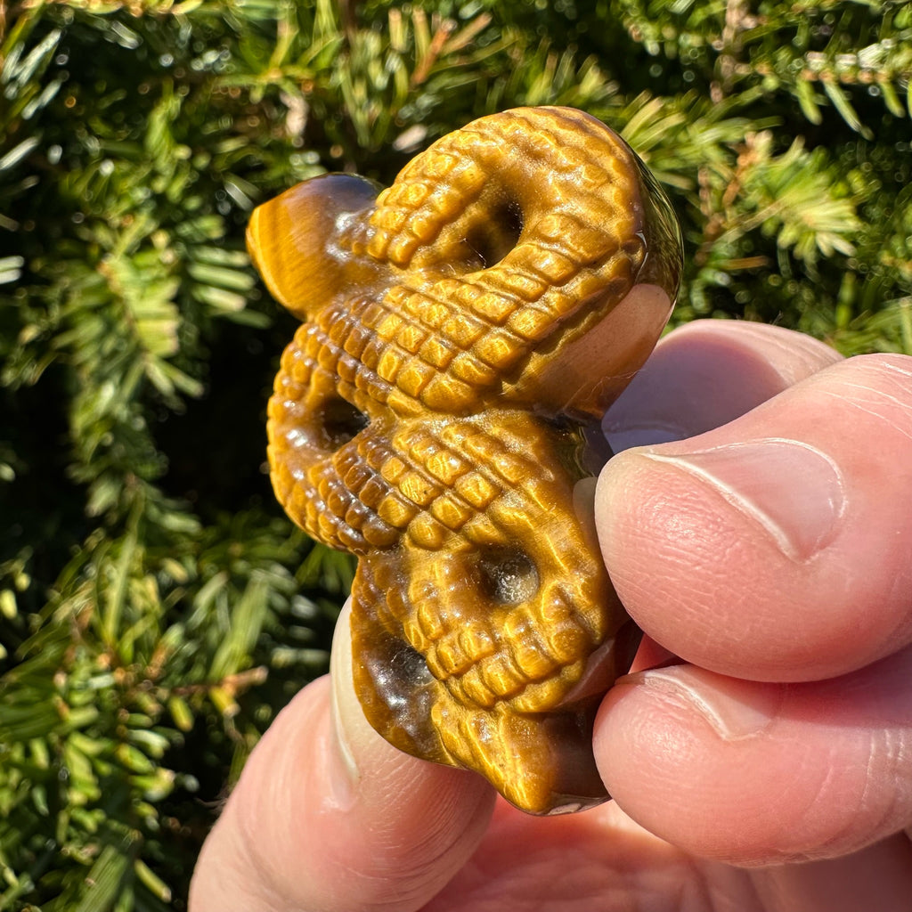 Tiger's Eye Snake