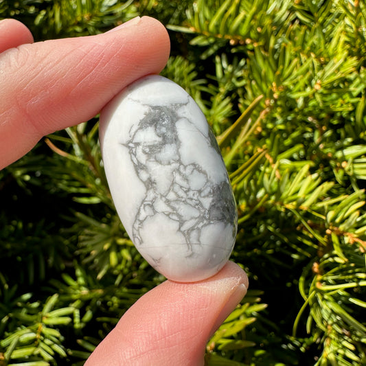 Howlite Shiva