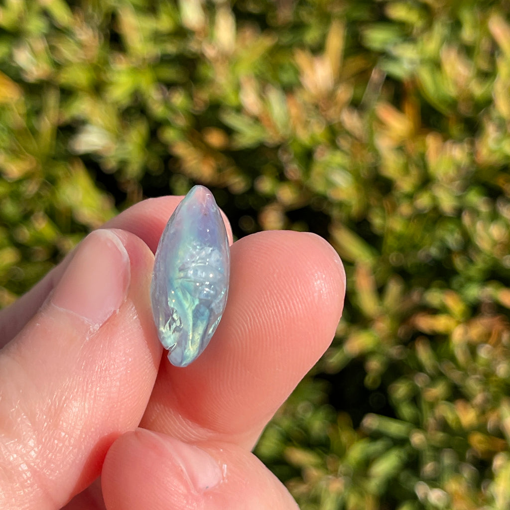 Aquamarine Fish