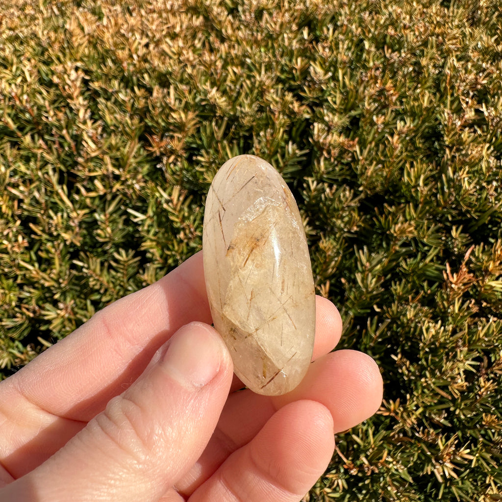 Gold Rutile Quartz Shiva