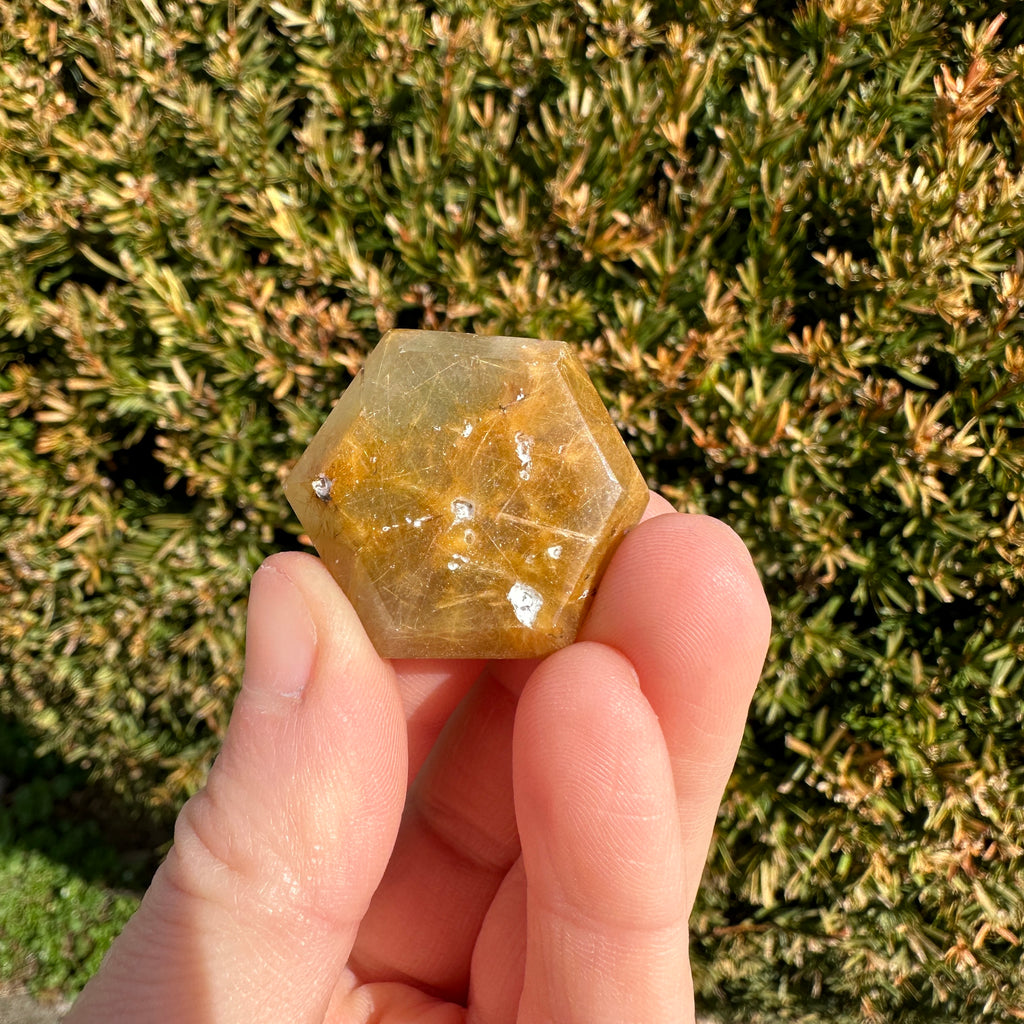 Gold Rutile Quartz Hexagon