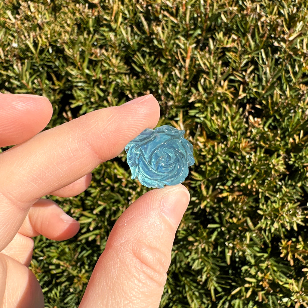 Aquamarine Rose