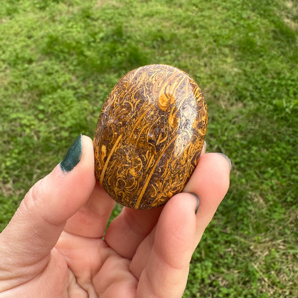 Calligraphy Stone Palm Stone
