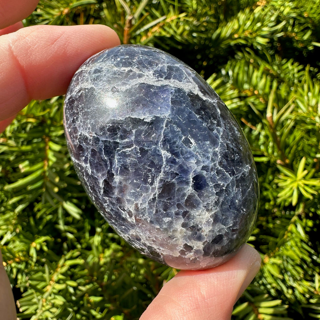 Iolite Shiva