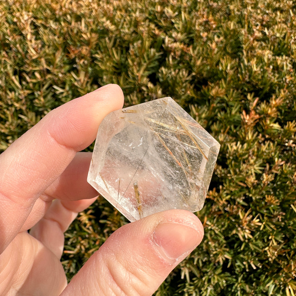 Gold Rutile Quartz Hexagon