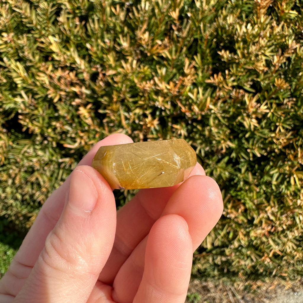 Gold Rutile Quartz Hexagon