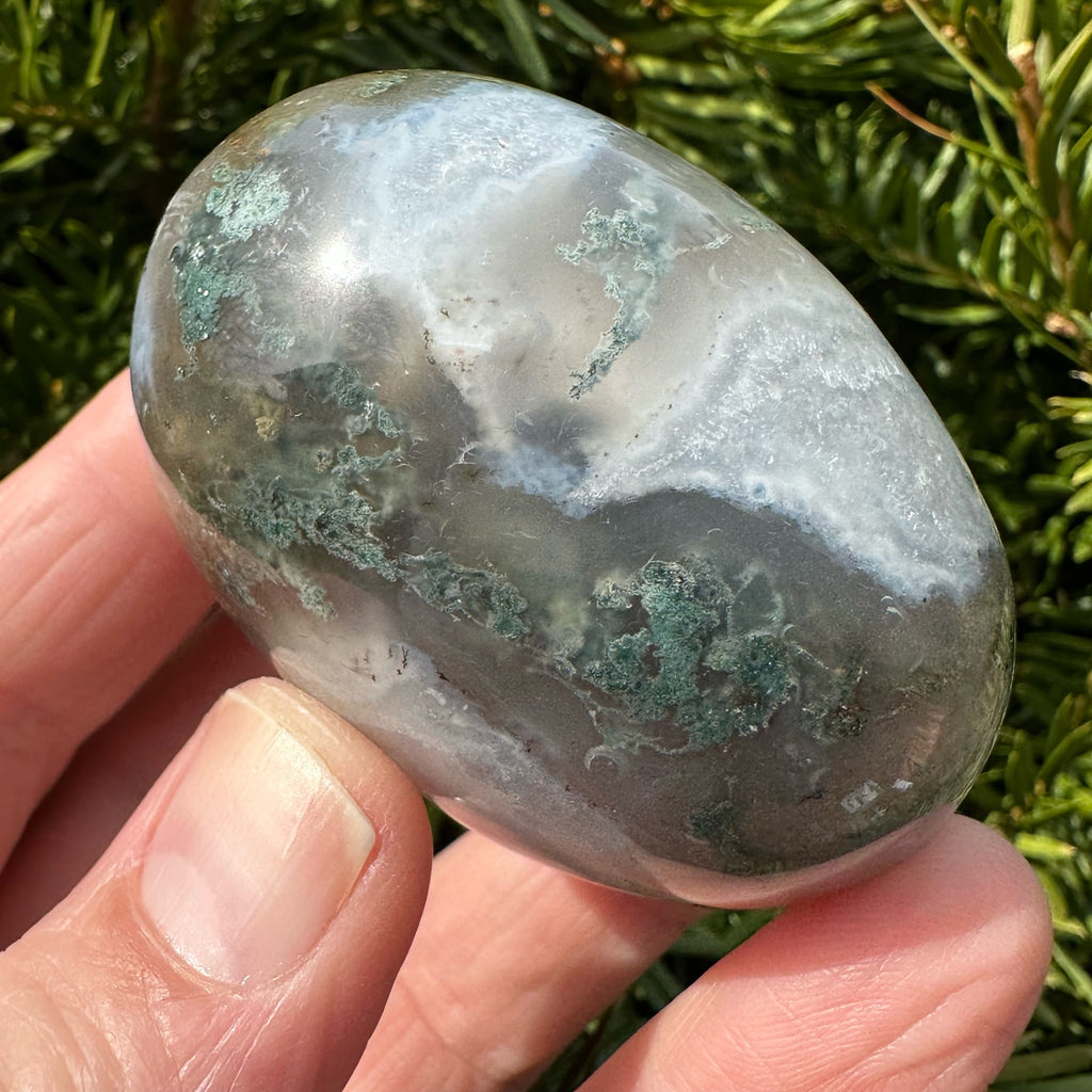 Moss Agate Shegg-va