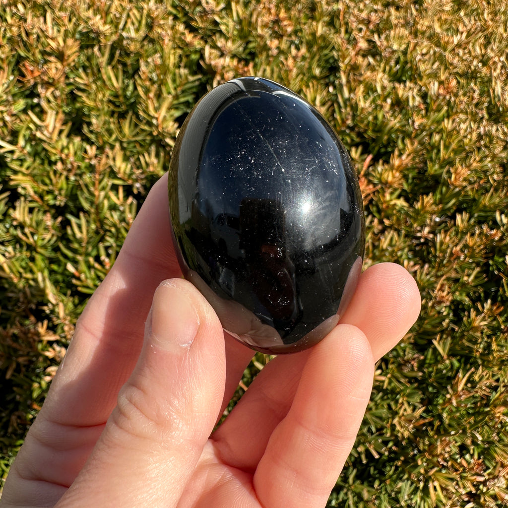 Black Obsidian Shegg-va