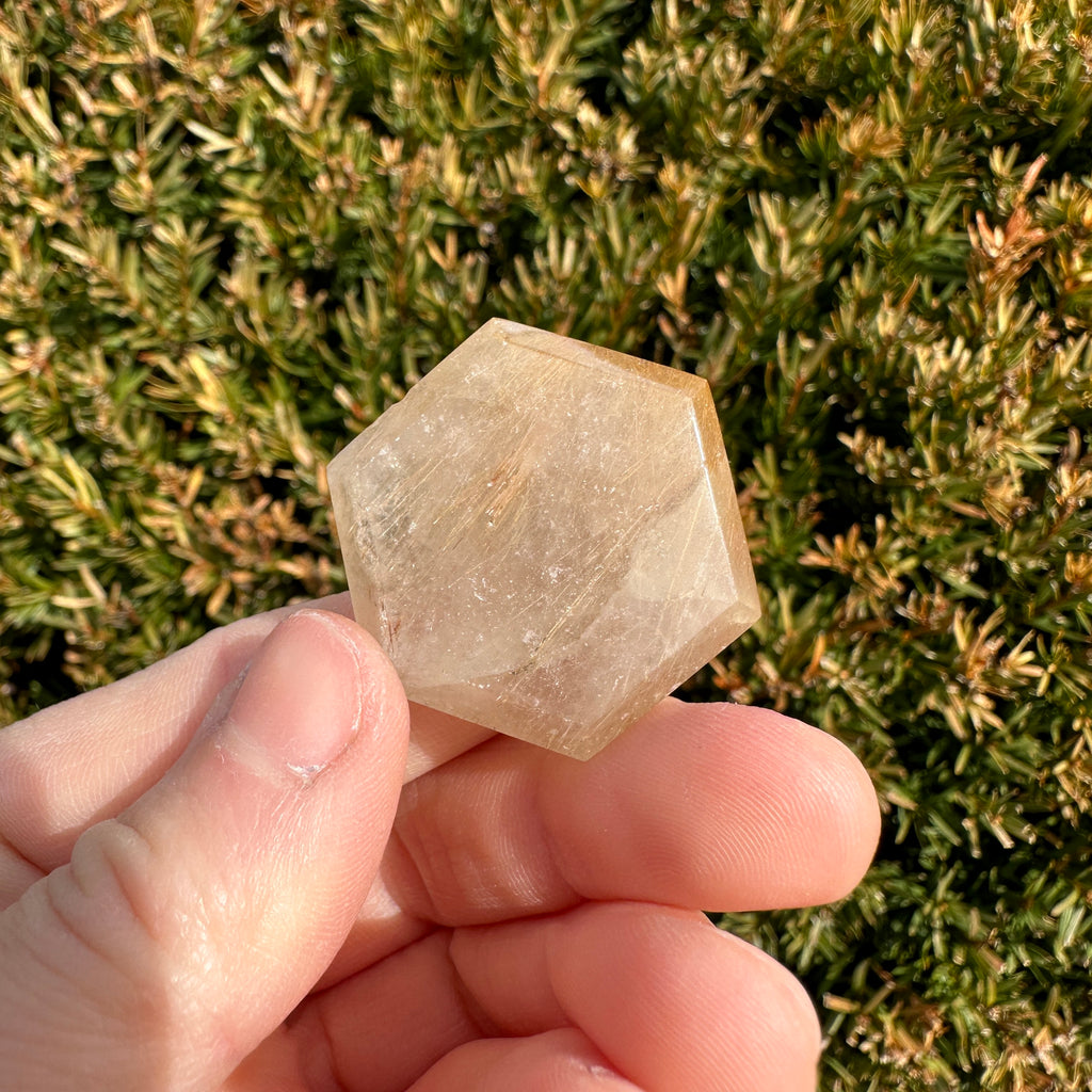 Gold Rutile Quartz Hexagon