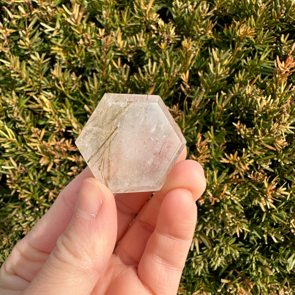 Gold Rutile Quartz Hexagon