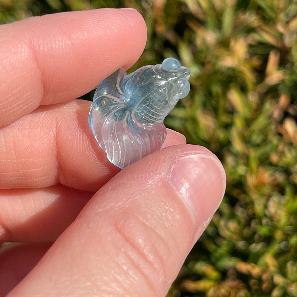 Aquamarine Fish