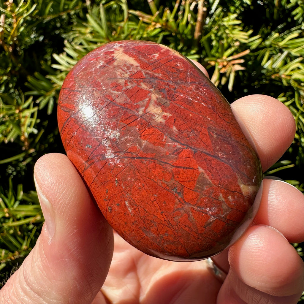 Red Jasper Palm Stone