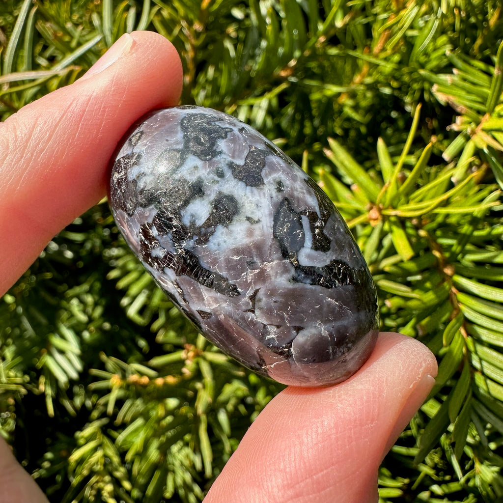 Indigo Gabbro (Merlinite) Shiva