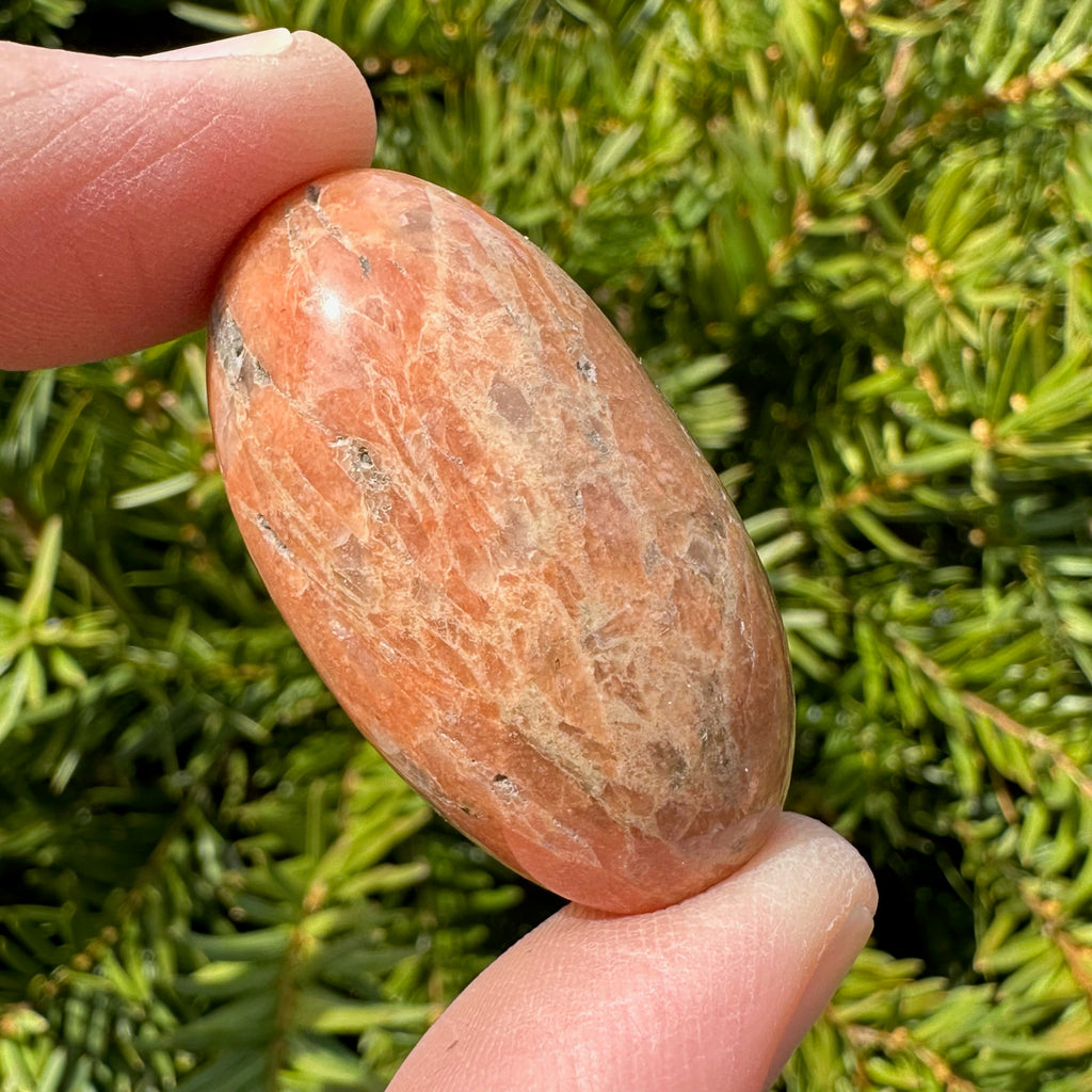 Peach Moonstone Shiva