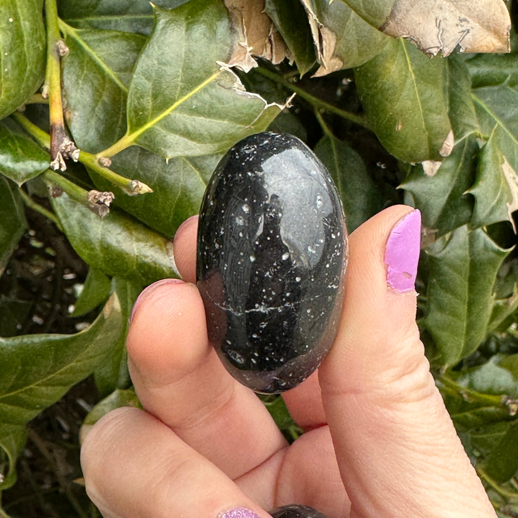 Black Tourmaline Shiva
