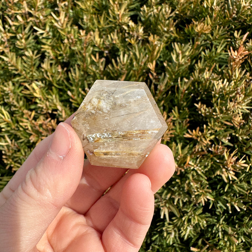 Gold Rutile Quartz Hexagon