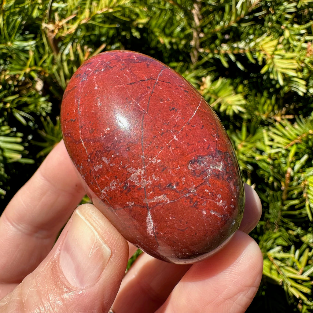 Red Jasper Shegg-va