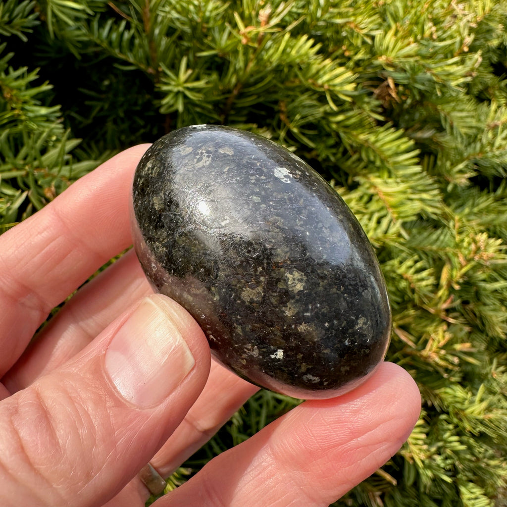 Nuummite Shegg-va