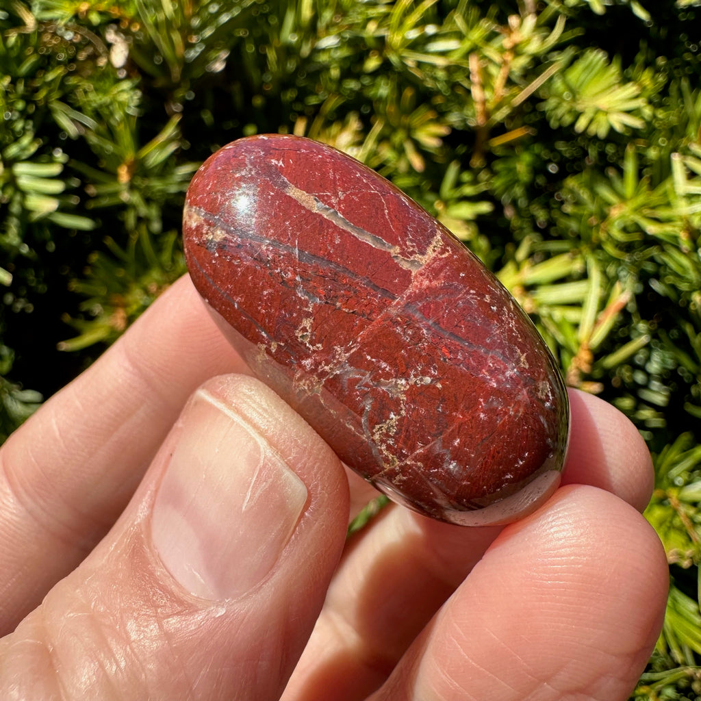 Red Jasper Shiva