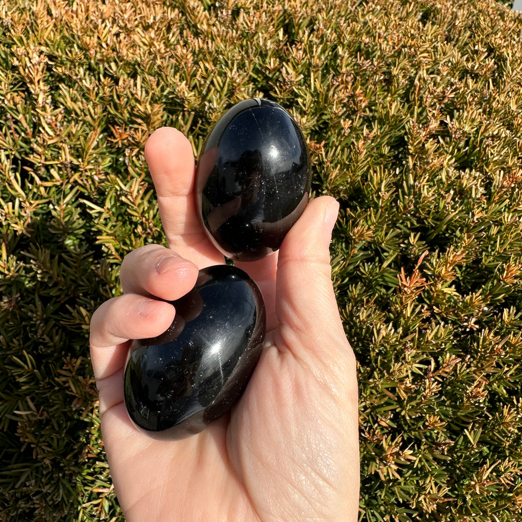 Black Obsidian Shegg-va