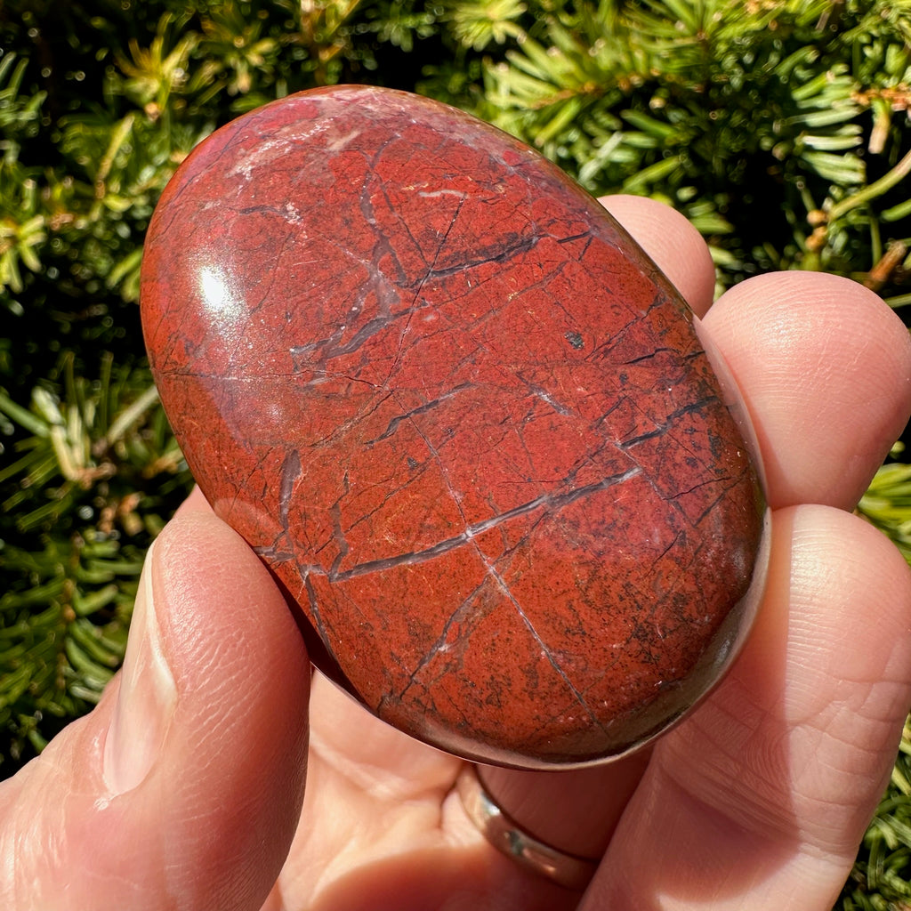 Red Jasper Palm Stone
