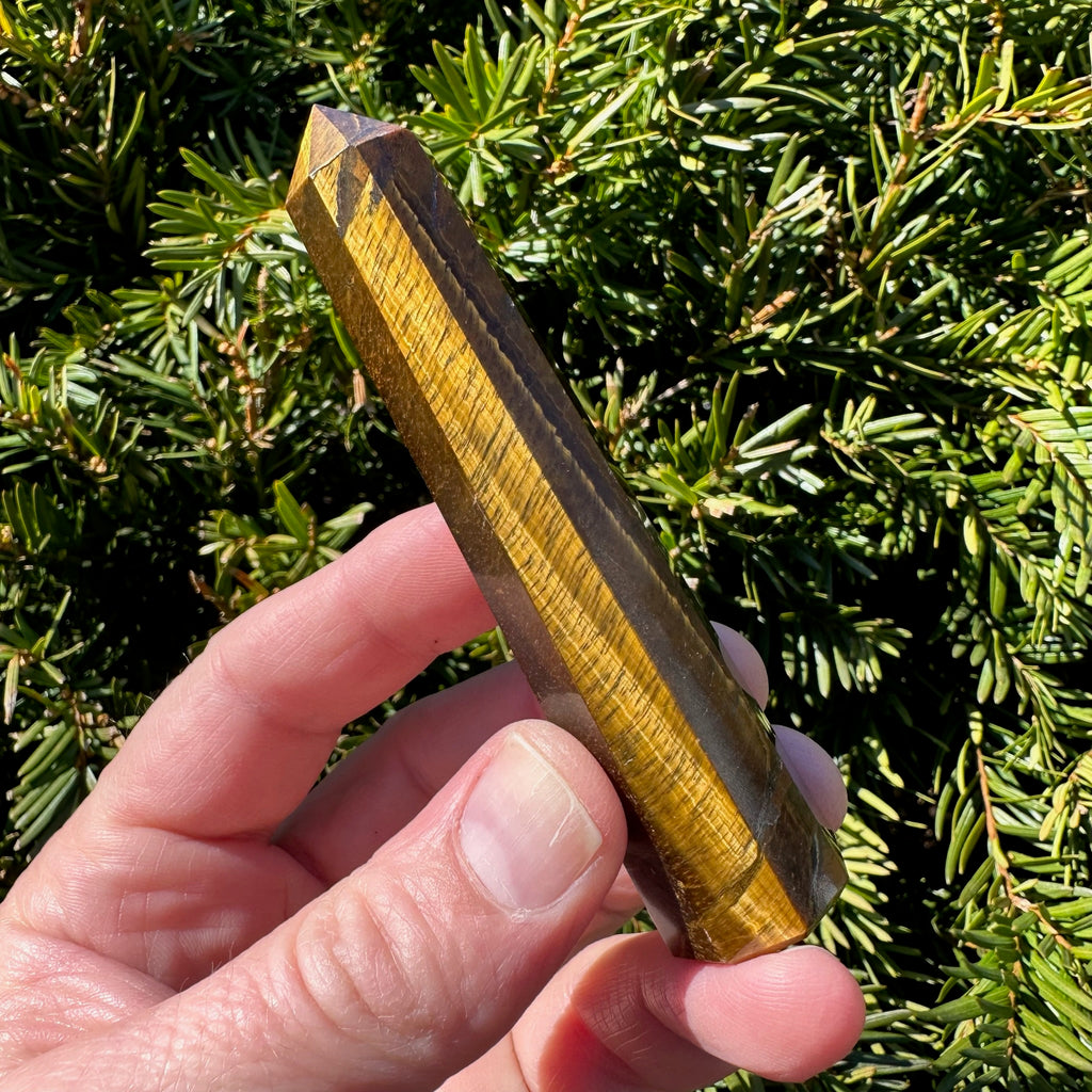 Tiger's Eye Tower
